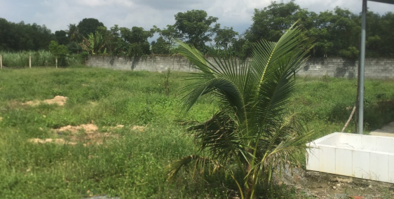 Chính chủ cần bán đất vị trí đẹp tại xã Bình Lợi, Vĩnh Cửu, Đồng Nai