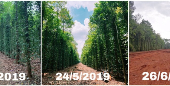 Đất Nền Trung Tâm Phường Hắc Dịch