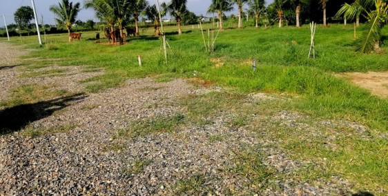 Gấp! Gấp! Kẹt tiền cần bán gấp lô Đại Lộc Garden 1000m2 chỉ với 750 triệu.