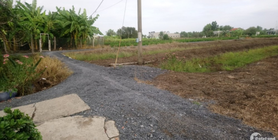 Tôi cần bán gấp lô đất 618m2 2 mặt tiền đường Ba Bê, Xã Hưng Long, Huyện Bình Ch