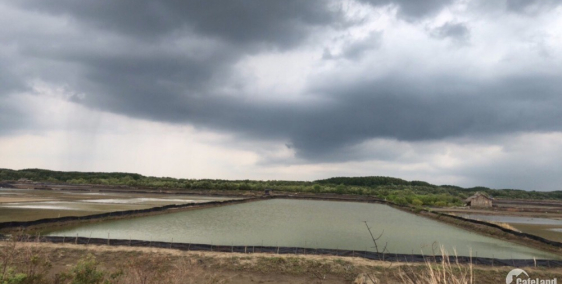 Hàng hot! Đất ở đâu rẻ hơn, mặt tiền Lý Nhơn, Cần Giờ