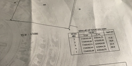 Bán 5300m2 đất Gần Phà Doi Lầu, Huyện Cần Giờ giá chỉ 1,5 triệu/m2