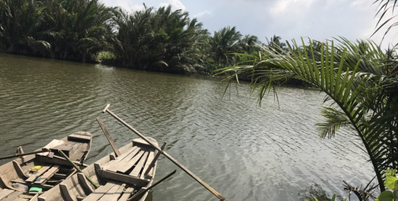 Lô đất 2000m mặt tiền sông cực đẹp cách Q2 chỉ 6km