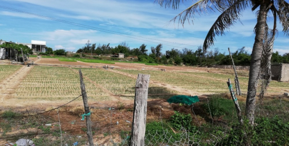 Bán Đất view Biển, mặt Tiền Đường 702 Vĩnh Hải Ninh hải, Ninh Thuận 8365 m2