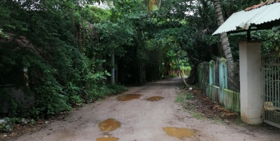 Cần bán 5000m2 đất sát khu vườn cò Nguyễn Xiển, Q.9, mặt tiền sông Trao Trảo