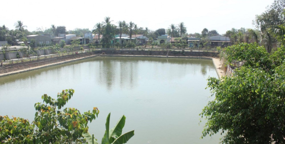 CƠ HỘI SỞ HỮU QUÁN CÀ PHÊ ĐẸP VỚI HƯỚNG NHÌN HỒ CÁ DIỆN TÍCH LỚN.