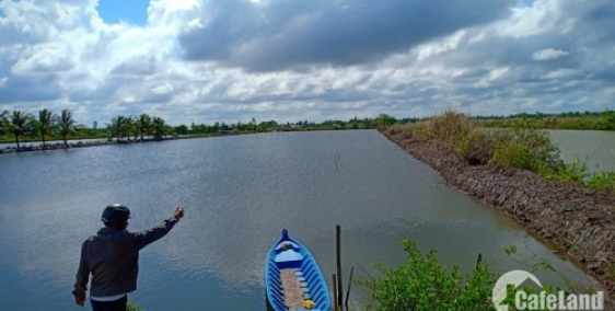 Bán đất Nông nghiệp và Rừng, đất Vuông tôm, đất nền tại huyện U Minh, Cà Mau.