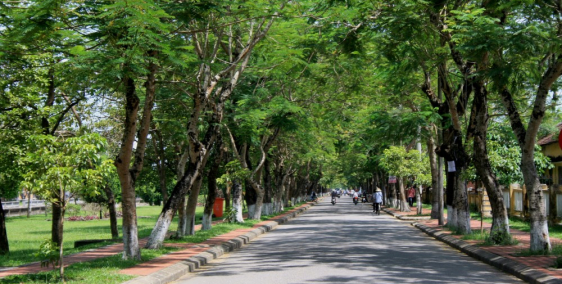 Cho thuê nhà mặt phố Đoàn Thị Điểm, Đống Đa, dt 35m2, mt 8m, 3 tầng, 35tr/tháng