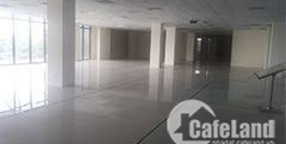 cho thuê mặt tiền Thái Hà, 260m, 260tr/th ( thương lượng )