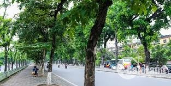 Nhà phố Đường Thành MT 5m,DT 100m2*2 tầng phù hợp văn phòng,cửa hàng KD,cafe,...