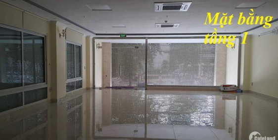 Vp cho thuê Vũ Trọng Phung, Thanh Xuân 230 nghìn/m2/th, 200- 2000m2