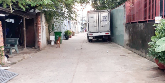 Cho thuê nhà nguyên căn mặt tiền hẻm C2 Bình Hưng, Bình Chánh