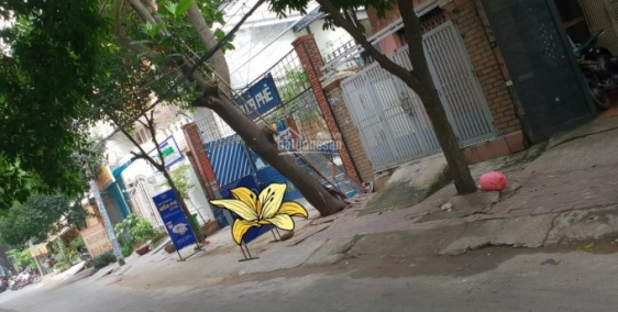 Cho thuê nhà cấp 4 đường 61, Thảo Điền - 15 triệu/tháng