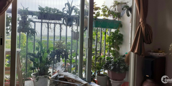 Chính chủ cần bán gấp căn hộ 2 ngủ view đẹp tại Ecohome Phúc Lợi