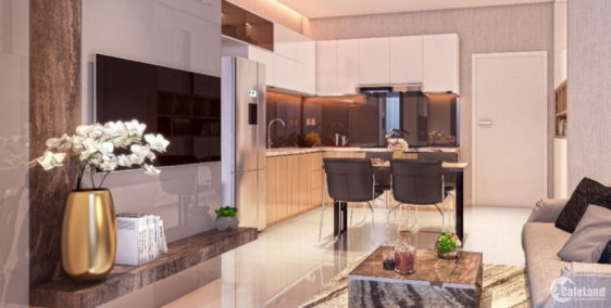 Chung Cư Asiana Capella 184 Đường Trần Văn Kiểu, Phường 10, Quận 6 | Phường 10|