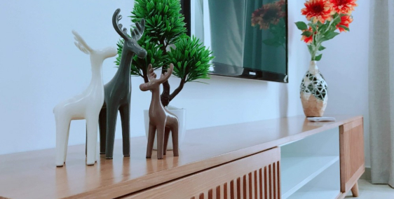 Căn hộ Quận 8 2PN , đang bàn giao, nhận nhà ở ngay