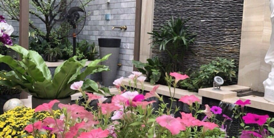 Biệt thự sân vườn 462m2 góc 3 Mặt Tiền đường Bạch Đằng-Bình Thạnh