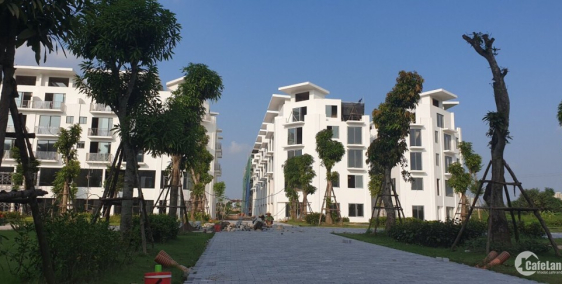 Cơ hội đầu tư shophouse long biên – sinh lời 100% vốn trong 2 năm