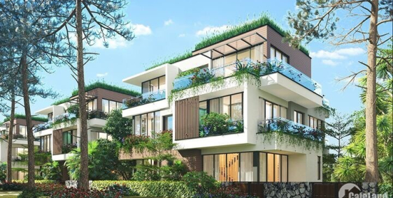 BẤT ĐỘNG SẢN CUỐI CÙNG CÓ THỂ MUA TẠI FLAMINGO RESORRT ĐẠI LẢI