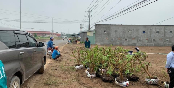 ĐẤT MẶT NỀN ĐƯỜNG 30M NHUẬN ĐỨC CU CHI