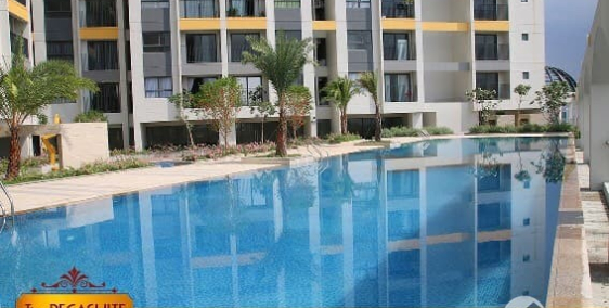 Cần bán nhanh căn hộ giá tốt 2PN 2WC 68m2 The Pegasuite quận 8, view thoáng mát