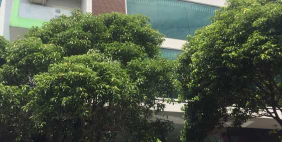 tòa nhà văn phòng mặt tiền Phan Xích Long,phú Nhuận bán nhanh