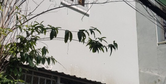 Bán nhà góc 2MT hẻm 4.5m Vũ Tùng, p2, Bình Thạnh -DT: 4.6x5.2m -Nhà triệt 1 lầu