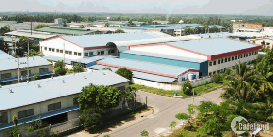 Tôi cần bán dãy phòng trọ 14 phòng 150m2 thu nhập 20tr/th giá 1ti950 SHR,thổ cư.