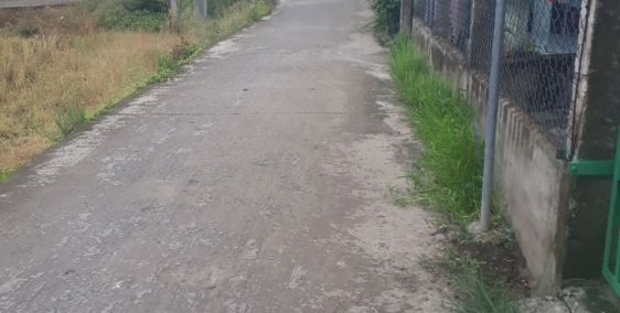 Cần bán nhà 8x7m đường dẫn xe hơi tại Bình Cang, Thủ Thừa, Long An.