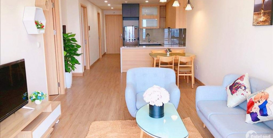 Cho thuê gấp căn hộ 3 phòng ngủ Sky Park số 3 Tôn Thất Thuyết, giá rẻ.