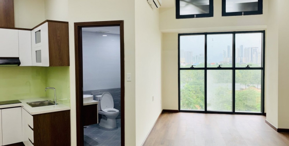 Cho thuê căn hộ 1pn 53m2 tại The Sun Avenue giá 10tr/tháng bao phí, Liên hệ