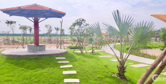 Suất Ưu Đãi Từ CĐT – Chiết Khấu 11% - Trả góp 24 tháng 0% lãi suất