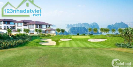 Nhận đặt cọc đất nền dự án FLC Quảng Ngãi giá cập nhật mới nhất cực sốc