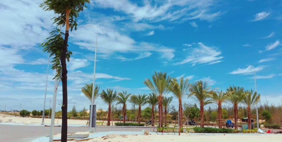 NHƠN HỘI NEW CITY CƠ HỘI CỦA NHÀ ĐẦU TƯ