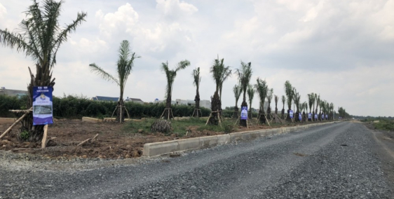 bán đất nền Long An giá rẻ, đầu tư