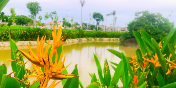 Chính chủ cần ra gấp Khu Tăng Long Angkora Park