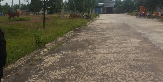 Kẹt tiền! Chính chủ cần bán gấp lô đất Bình Dương giá rẻ