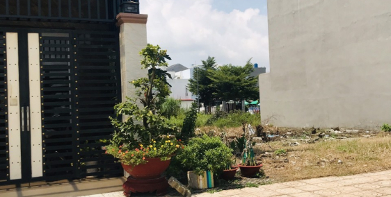 cần bán đất gấp Thị Trấn Bến Lức