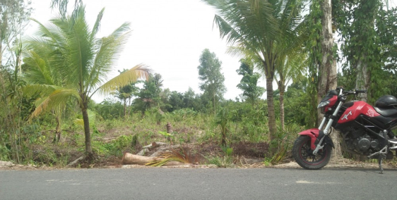 Bán gấp đất mặt Tiền Nguyễn viết xuân 5514