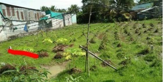 /-li/-li (1,650tỷ 173,1m2 đường Trương Vĩnh Nguyên) ️️