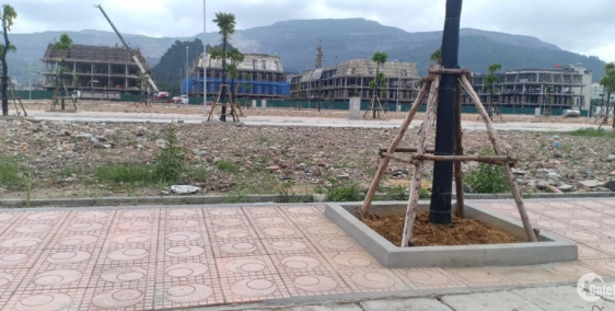 Gia đình chuyển ra nước ngoài cần bán lô đất nền ven biển gần vincom Cẩm Phả