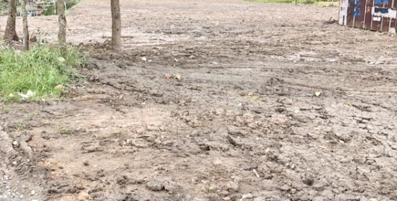 Bán gấp 3000m2 đất mặt tiền Quốc Lộ 50 Long An.