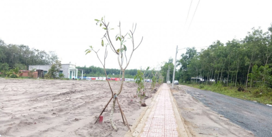 CỰC SỐC!!! ĐẤT NỀN KCN MINH HƯNG HÀN QUỐC GIÁ CHỈ TỪ 239TR_SỔ RIÊNG