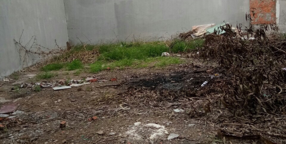 Đất giá rẻ, sổ đầy đủ ngại gì không thử