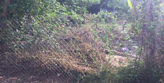 Bán đất khu vực P. Bắc Lý, Tp. Đồng Hới, Quảng Bình