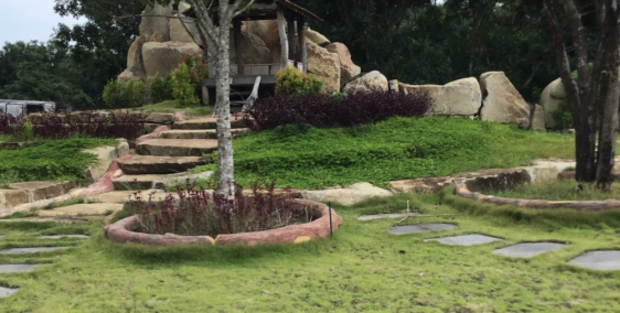 Gia đình cần bán gấp đất tại xã Tân Minh, Hàm Tân, Bình Thuận