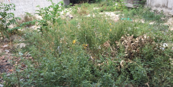 Đất kiệt ô tô Nguyễn Khoa Chiêm, cách trường ĐH Ngoại ngữ chỉ 300m. Lh 096262887