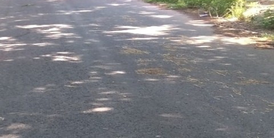 Đất nền Bình Chánh HOT nhất hiện nay-khả năng sinh lời vượt trội