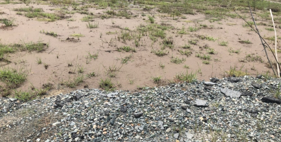 đúng 260 triệu,có ngay nền,đất tại đường vĩnh lộc