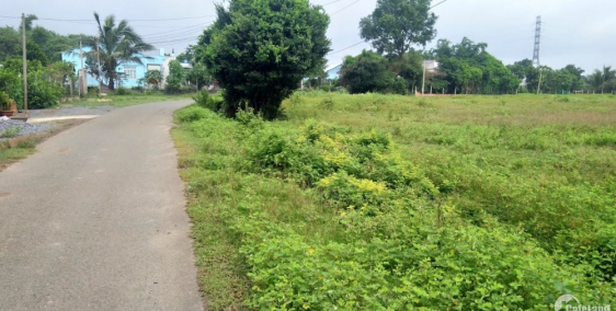 CẦN SANG NHƯỢNG 175M2 THỔ CƯ ĐƯỜNG CÂY TRÔM XÃ THÁI MỸ. SỔ RIÊNG. 930 TRIỆU.